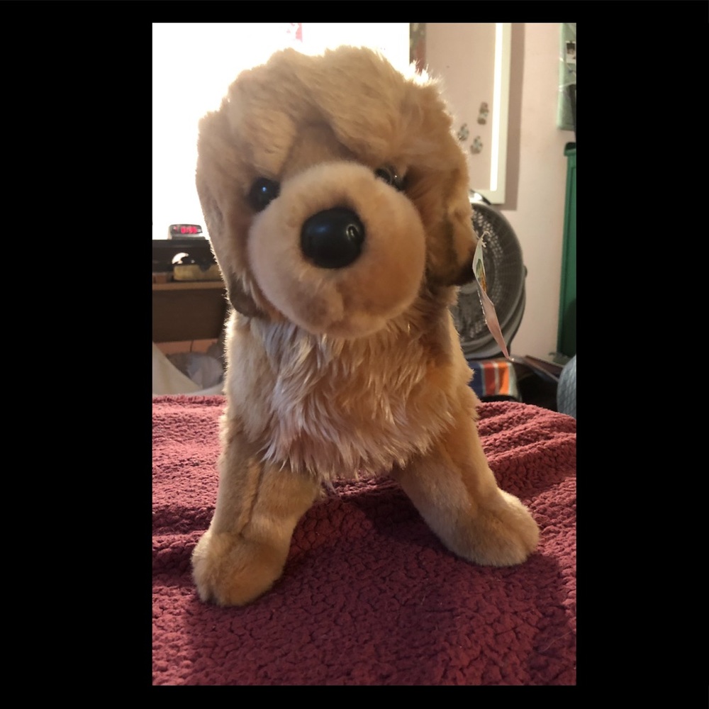 Dog Stuffed Animal